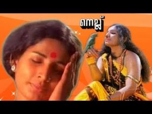 Nellu's Poster