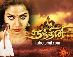 Nandini's Poster