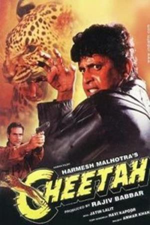 Cheetah's Poster