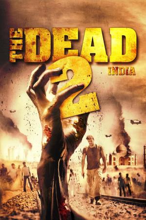 India @ 2's Poster