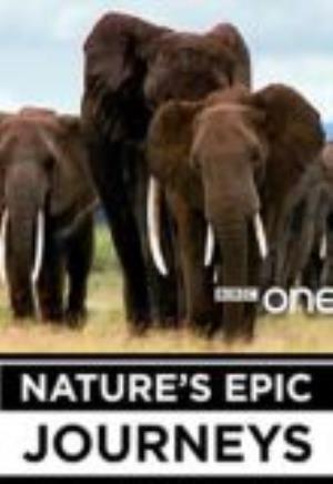 Nature's Epic Journeys's Poster