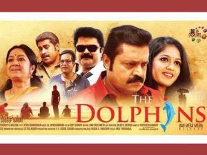 The Dolphins's Poster