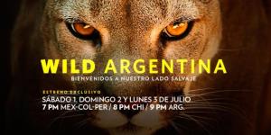 Wild Argentina's Poster