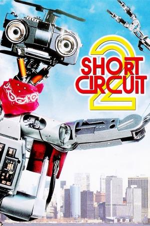 Robo 2's Poster