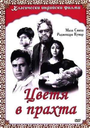 Dhool Ka Phool's Poster