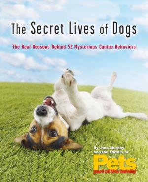 The Secret Life Of Dogs's Poster