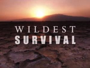 Wildest Survival's Poster