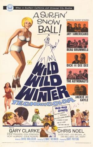 Wild Winter's Poster
