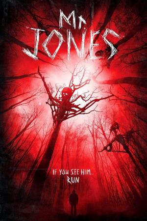 Mr. Jones's Poster