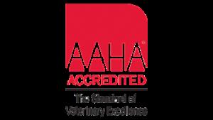 Aaha's Poster