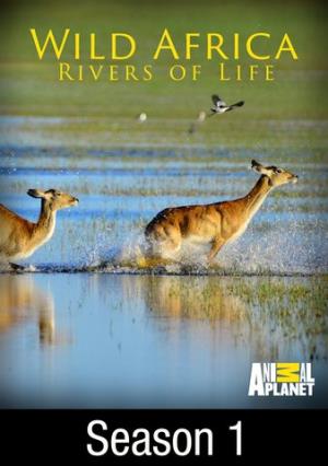 Wild Africa: Rivers Of Life's Poster