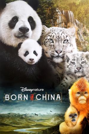 Born In China's Poster