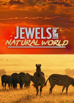 Jewels Of The Natural World's Poster