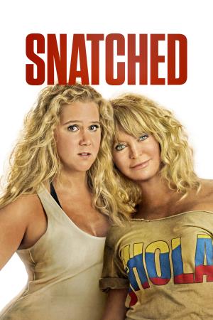 Snatched's Poster