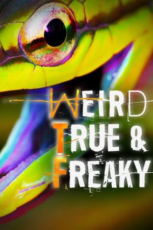 Weird, True & Freaky's Poster