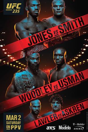 UFC 235's Poster