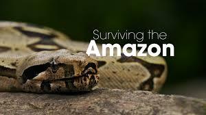 Surviving The Amazon's Poster