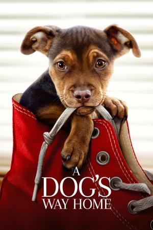 A Dog's Way Home's Poster