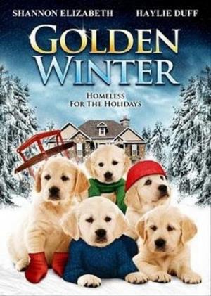 Golden Winter's Poster