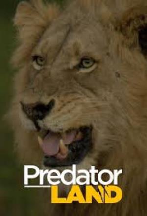 Predator Land's Poster
