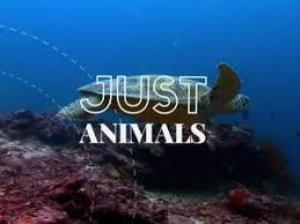 Just Animals's Poster