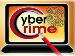 Cyber Crime's Poster