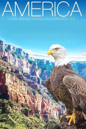 America The Beautiful's Poster
