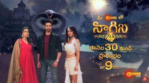 Naagin 4's Poster