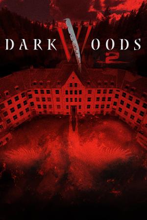 Villmark Asylum's Poster