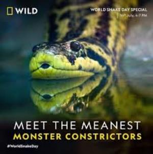 Monster Constrictors's Poster