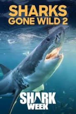 Sharks Gone Wild's Poster