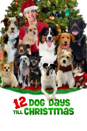 12 Dog Days Till Christmas's Poster