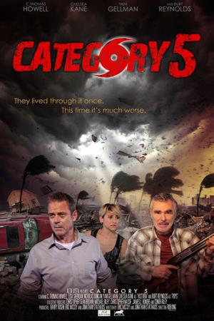 Category 5's Poster