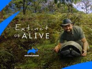 Extinct Or Alive's Poster