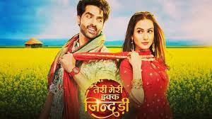 Teri Meri Ikk Jindri's Poster