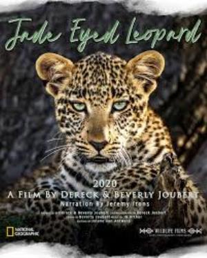 Jade Eyed Leopard's Poster