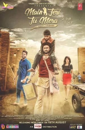 Main Teri Tu Mera's Poster