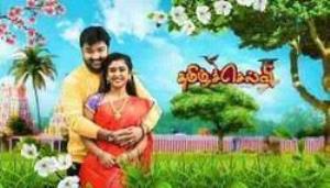 Selvi's Poster