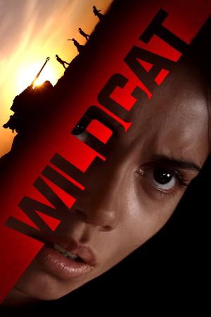 Wildcat's Poster