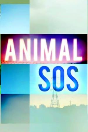 Animal SOS's Poster