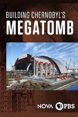 Inside Chernobyl's Mega Tomb's Poster