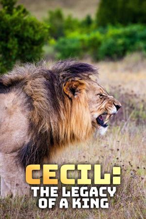 Cecil: The Legacy Of A King's Poster