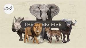 Africa's Big Five's Poster