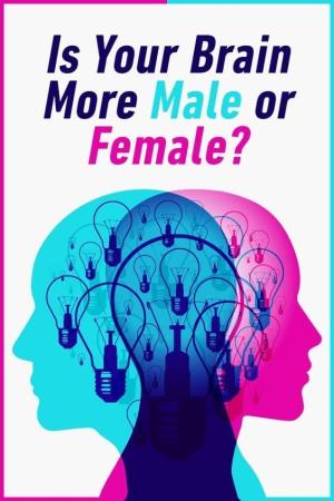 Is Your Brain Male or Female?'s Poster
