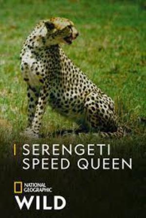 Serengeti Speed Queen's Poster