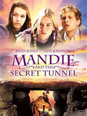 The Secret Tunnel's Poster