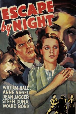 Escape By Night's Poster
