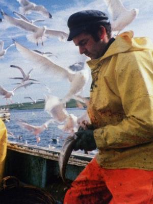 Shetland's Poster