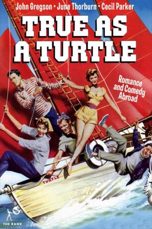 True as a Turtle's Poster