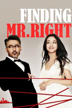 Finding Mr Right's Poster